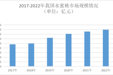 优秀工会活动方案分享（优秀19篇）